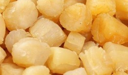 瑶柱是什么东西,海洋珍馐，滋补佳品之概述